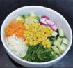 Picture of P1 VEGGIE